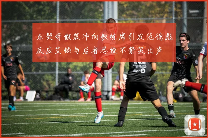东契奇假装冲向教练席引发范德彪反应艾顿与后者忍俊不禁笑出声